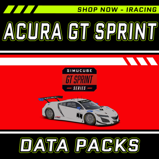 GT Acura NSX GT3 EVO 22
