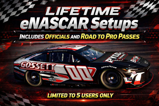 Lifetime eNASCAR Official Series / RTP Setups