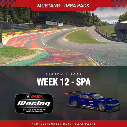 25S4 - Ford Mustang GT3 - W12 - SPA