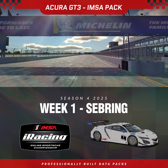 25S4 - Acura NSX GT3 EVO 22 - W1 - Sebring