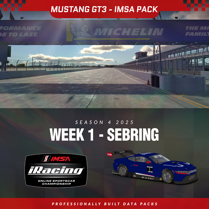 25S4 - Ford Mustang GT3 - W1 - Sebring