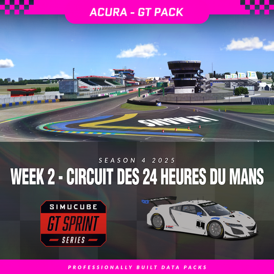 25S4 - Acura NSX GT3 EVO 22 - W2 - Circuit des 24 Heures du Mans