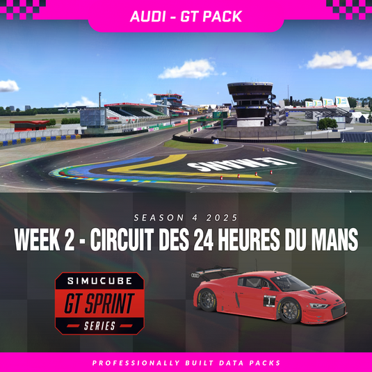 25S4 - Audi R8 LMS EVO II GT3 - W2 - Circuit des 24 Heures du Mans
