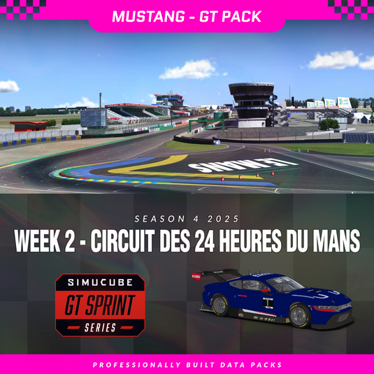 25S4 - Ford Mustang GT3 - W2 - Circuit des 24 Heures du Mans