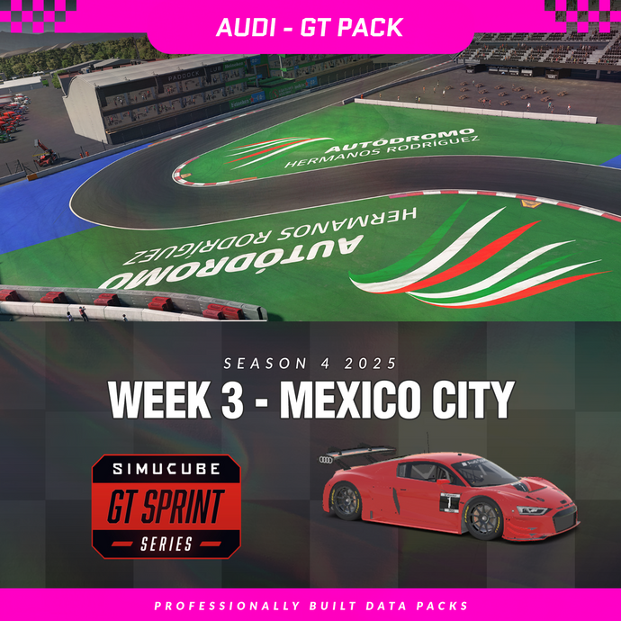 25S4 - Audi R8 LMS EVO II GT3 - W3 - Mexico City