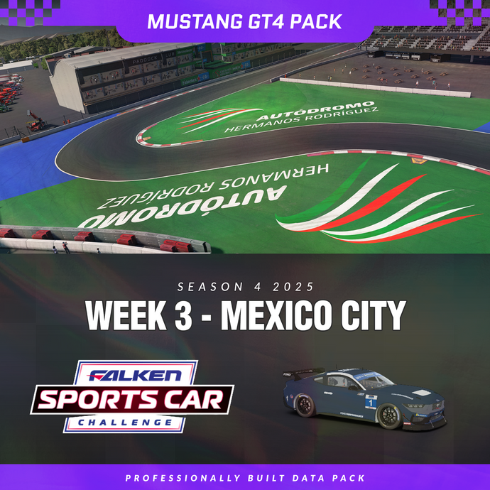 25S4 - Mustang GT4 - W3 - Mexico City
