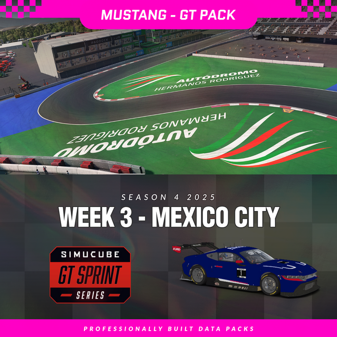 25S4 - Ford Mustang GT3 - W3 - Mexico City