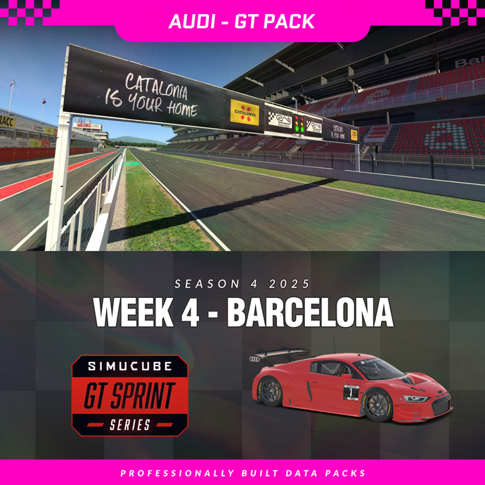 25S4 - Audi R8 LMS EVO II GT3 - W4 - Barcelona