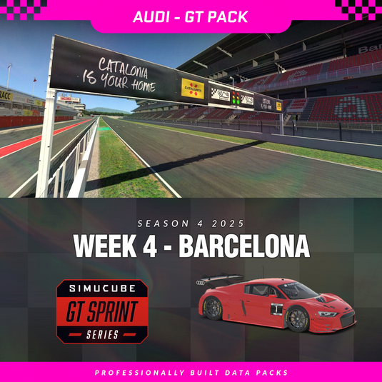 25S4 - Audi R8 LMS EVO II GT3 - W4 - Barcelona
