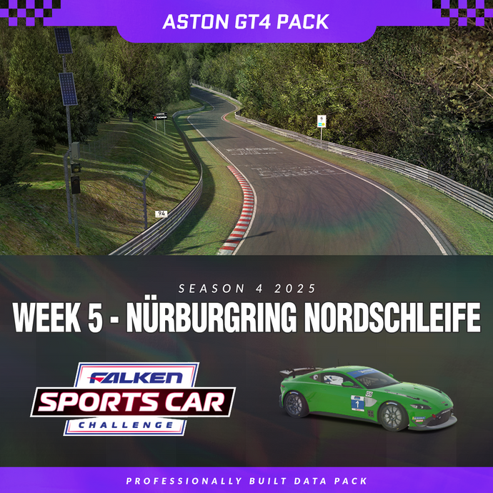 25S4 - Aston Martin Vantage GT4 - W5 - Nordschleife