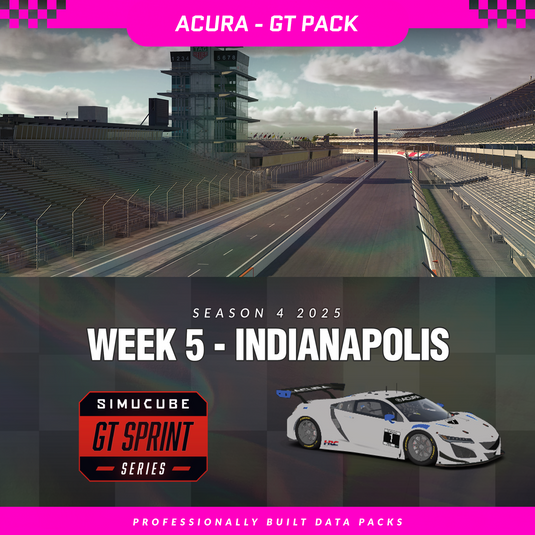25S4 - Acura NSX GT3 EVO 22 - W5 - Indianapolis