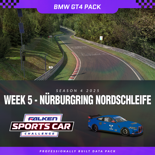 25S4 - BMW GT4 - W5 - Nordschleife