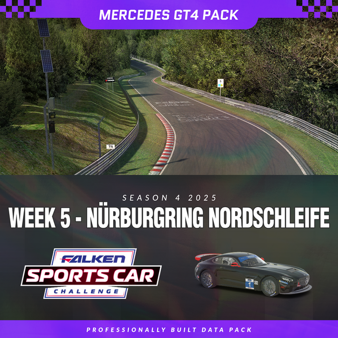 25S4 - Mercedes GT4 - W5 - Nordschleife