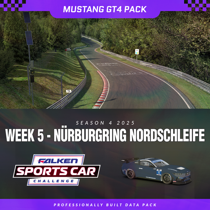 25S4 - Mustang GT4 - W5 - Nordschleife