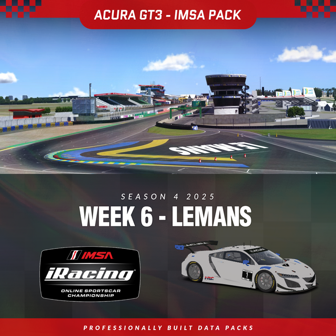 25S4 - Acura NSX GT3 EVO 22 - W6 - Le Mans