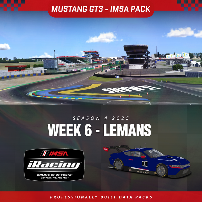 25S4 - Ford Mustang GT3 - W6 - Le Mans