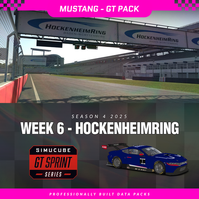 25S4 - Ford Mustang GT3 - W6 - Hockenheimring