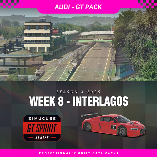 25S4 - Audi R8 LMS EVO II GT3 - W8 - Interlagos