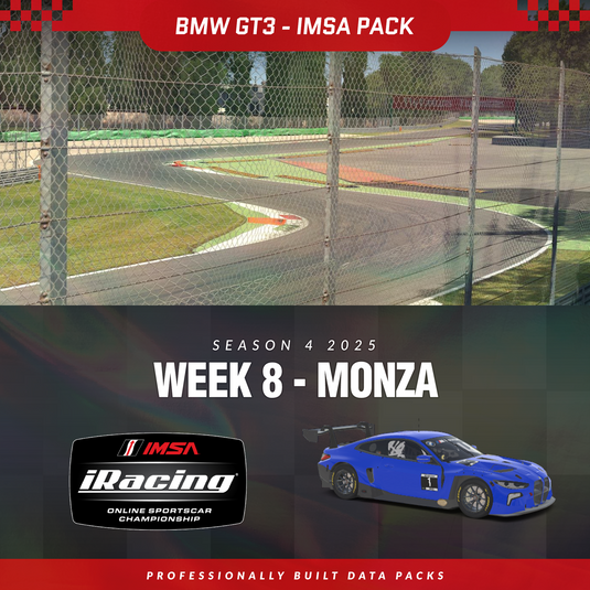 25S4 - BMW M4 GT3 EVO - W8 - Monza