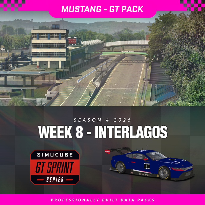 25S4 - Ford Mustang GT3 - W8 - Interlagos
