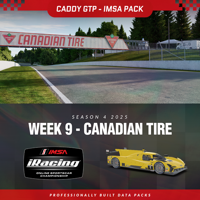 25S4 - Cadillac V-Series.R GTP - W9 - Canadian Tire
