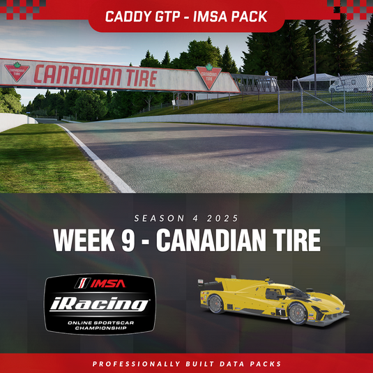 25S4 - Cadillac V-Series.R GTP - W9 - Canadian Tire