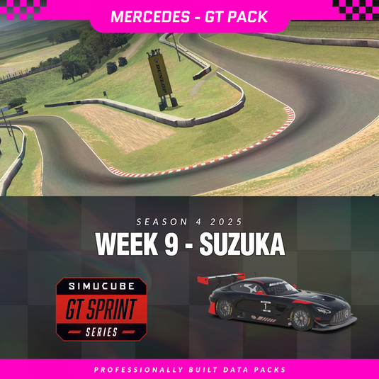 25S4 - Mercedes AMG GT3 2020 - W9 - Suzuka