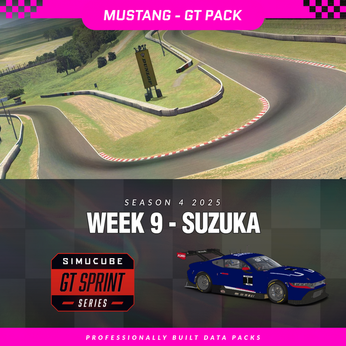 25S4 - Ford Mustang GT3 - W9 - Suzuka