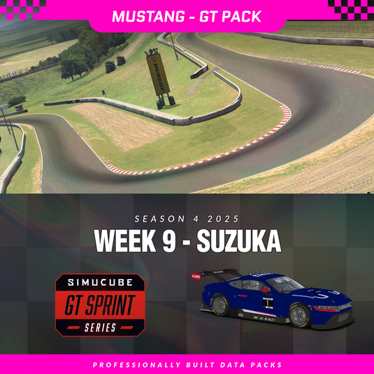 25S4 - Ford Mustang GT3 - W9 - Suzuka