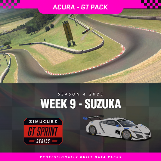 25S4 - Acura NSX GT3 EVO 22 - W9 - Suzuka