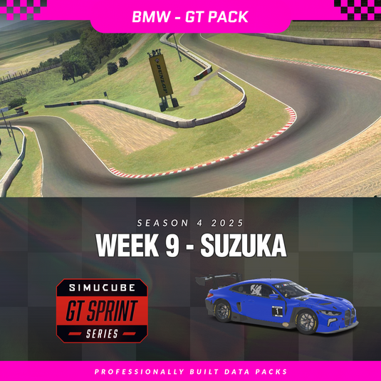 25S4 - BMW M4 GT3 EVO - W9 - Suzuka